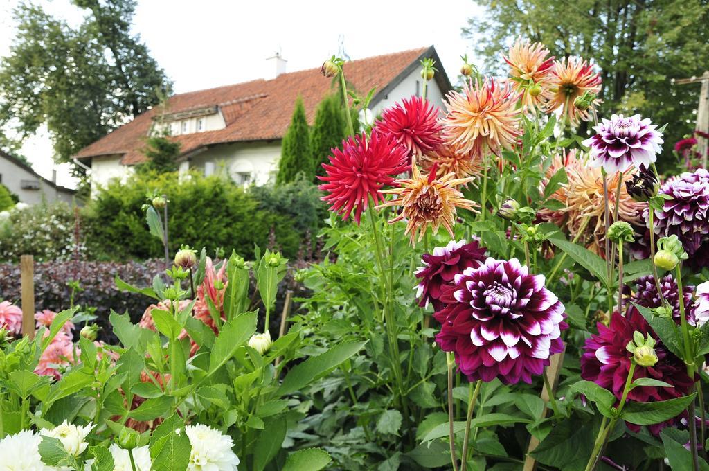 Agroturystyka Orzechowe Wzgorze Orzechowo  Bagian luar foto