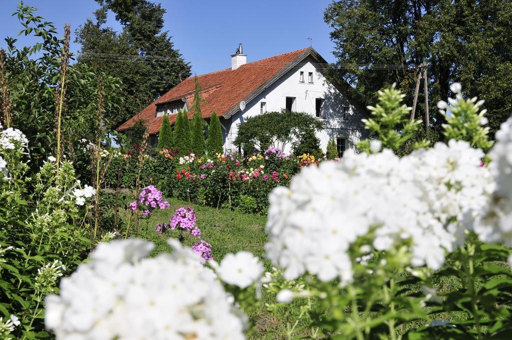 Agroturystyka Orzechowe Wzgorze Orzechowo  Bagian luar foto