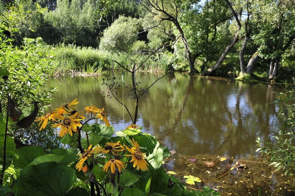 Agroturystyka Orzechowe Wzgorze Orzechowo  Bagian luar foto