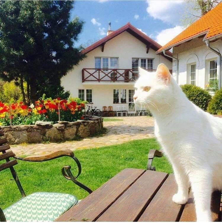 Agroturystyka Orzechowe Wzgorze Orzechowo  Bagian luar foto